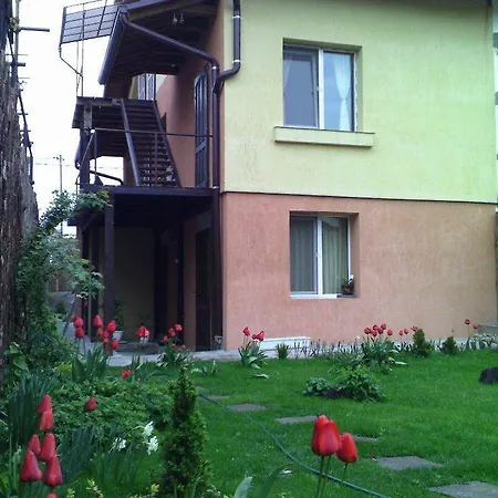 Avel * Sofia